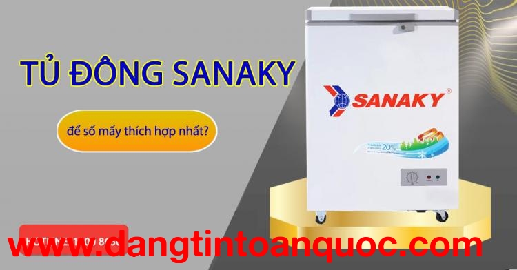Tủ đông Sanaky để số mấy phù hợp nhất?