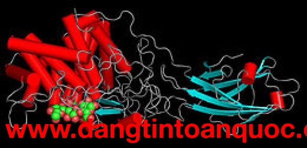 Bán Xylanase - Enzyme Cho Quy Trình Sản Xuất Thực Phẩm và Thức Ăn Chăn Nuôi