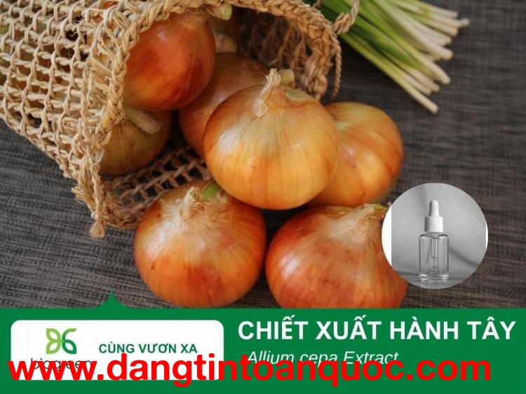 Tác dụng làm đẹp của chiết xuất Hành tây