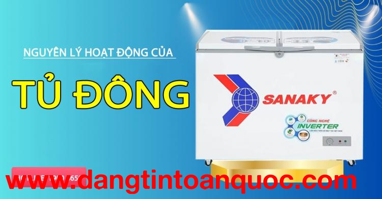 Nguyên lý hoạt động của tủ đông