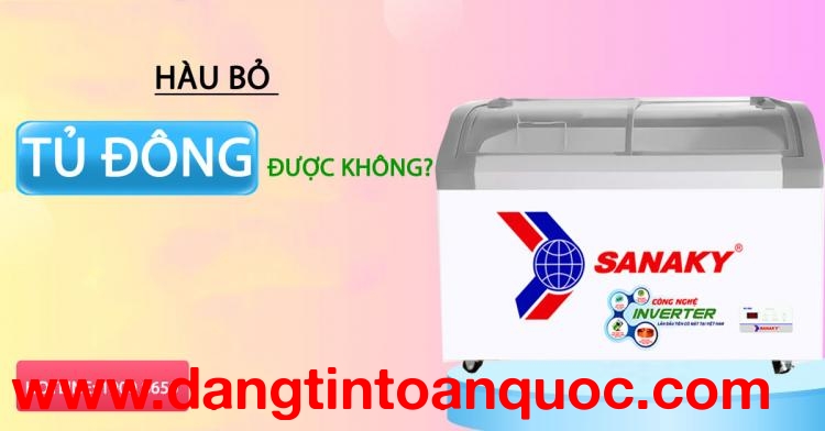 Hàu bỏ tủ đông được không?