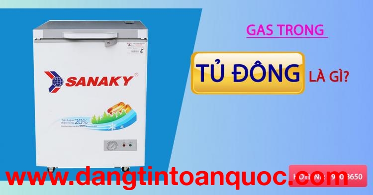 Gas trong tủ đông là gì?