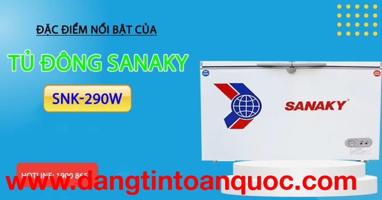 Đặc điểm thu hút của tủ đông Sanaky SNK-290W