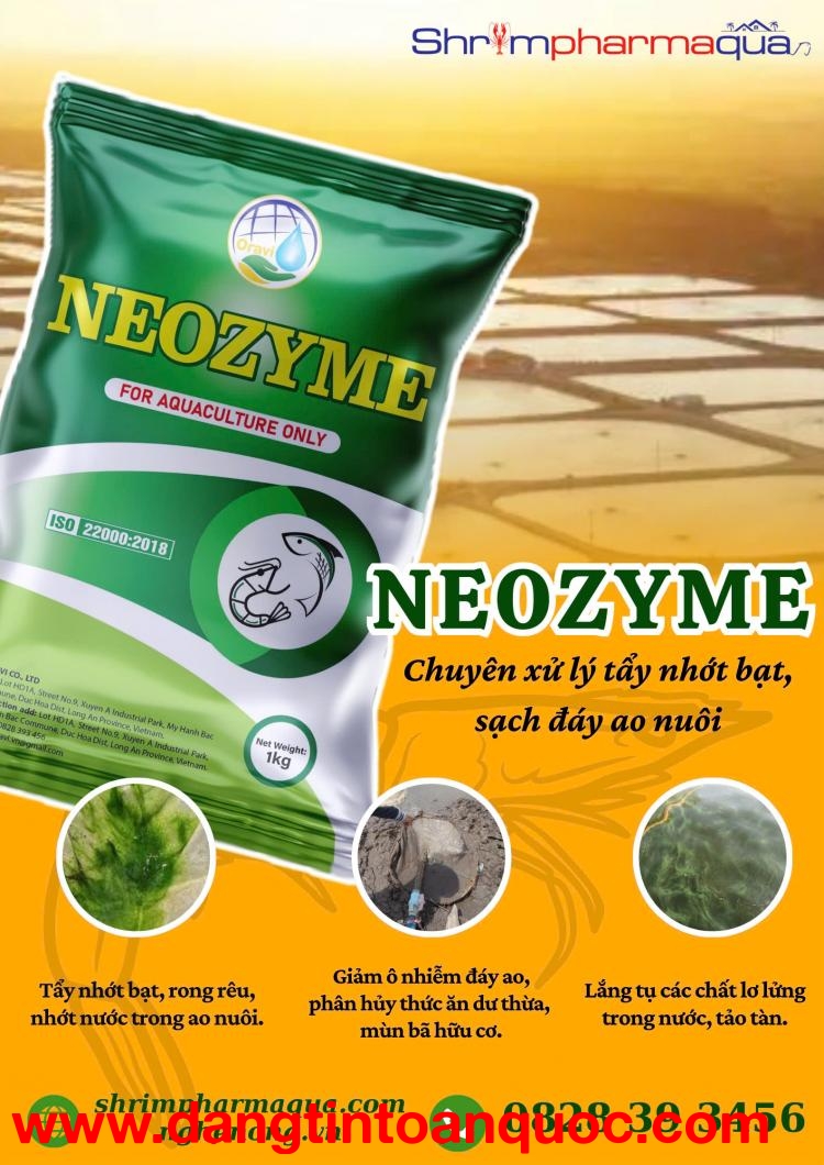 Enzyme tẩy nhớt bạt, xử lý nước ao nuôi hiệu quả - NEOZYME