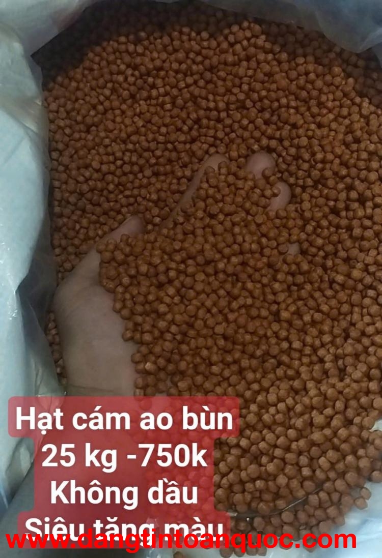 CÁM CÁ KOI BƠM SIZE AO BÙN 25KG