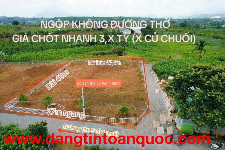 HƠN 1 SÀO ĐẤT THỔ CƯ - THÍCH HỢP LÀM NHÀ VƯỜN NGHĨ DƯỠNG TẠI LỘC TÂN