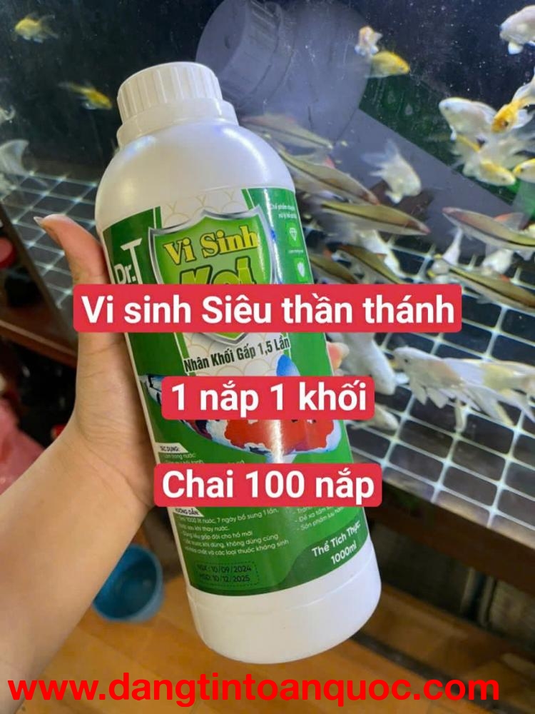 Vi sinh chất lượng cao cho hồ Koi – Giải pháp tối ưu!