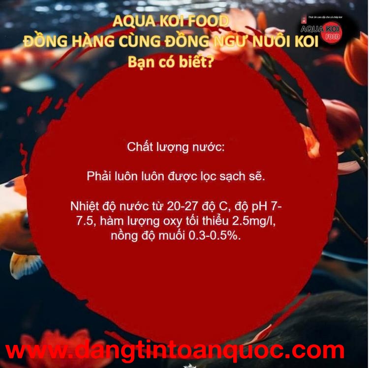 Aqua Koi Food - Thức ăn cao cấp dành riêng cho cá Koi Nhật.