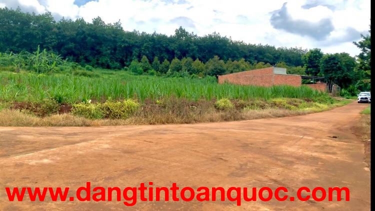 Bán 3 sổ (15x46=700m2) sát vách KCN, Góc Ngã 3, dân đông, gần thị trấn, Cụm KDC, Trường Học