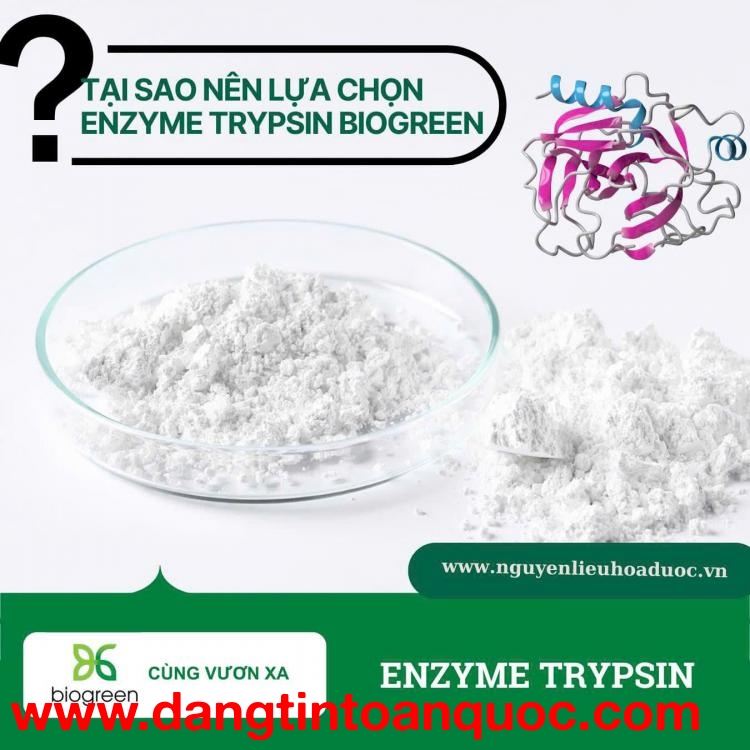 Enzyme Trypsin Chất Lượng Cao - Hỗ Trợ Tiêu Hóa Tối Ưu