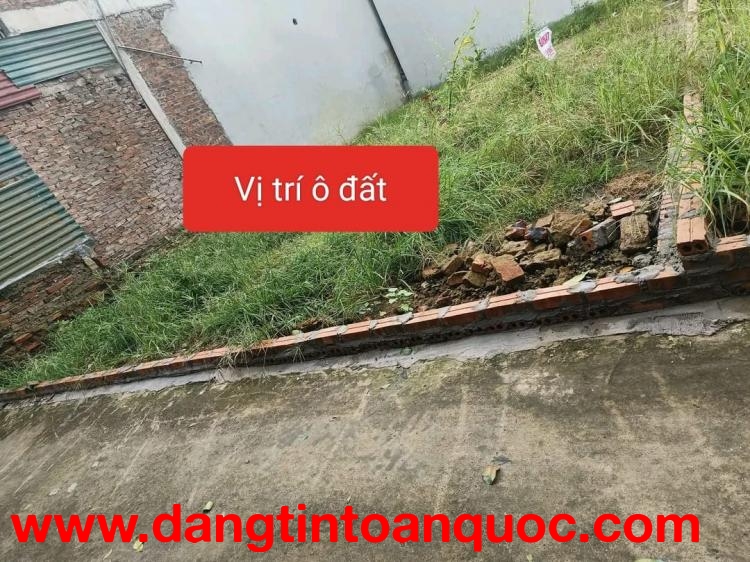 Bán đất tại Xã Bình Dương, Huyện Vĩnh Tường