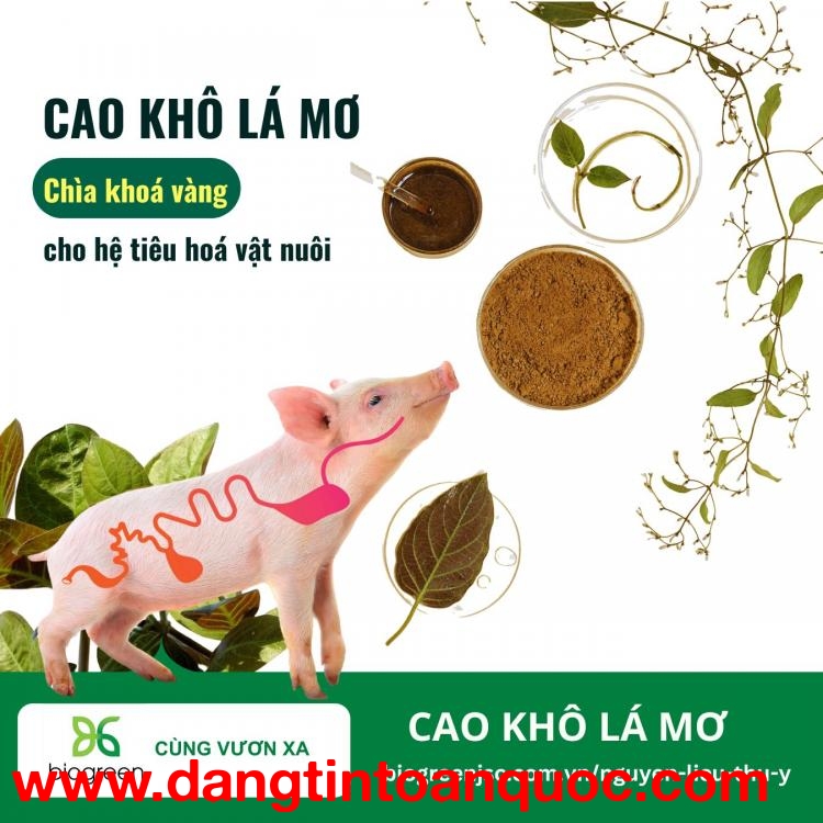 Mua Bán Cao khô Lá Mơ tăng cường hệ tiêu hóa vật nuôi