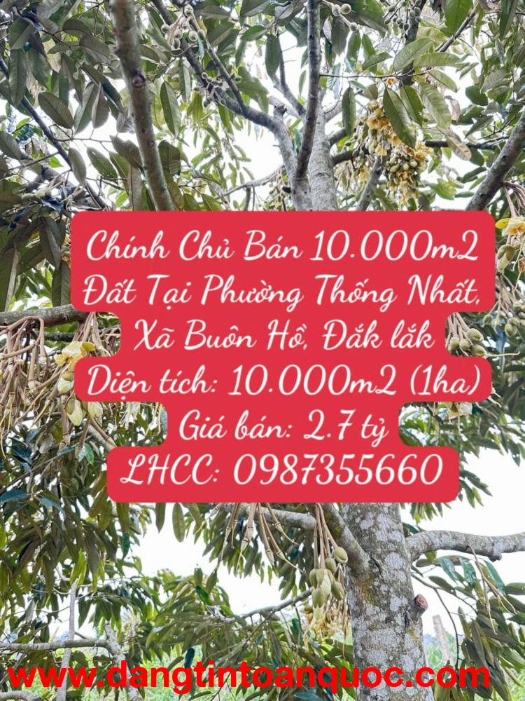 Chính Chủ Bán 10.000m2 Đất Tại Phường Thống Nhất, Xã Buôn Hồ, Đắk lắk