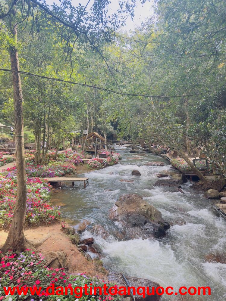 Đất nền Đà Lạt bán cắt lỗ, vị trí đẹp, phù hợp làm nhà kính, Homestay cho thuê.