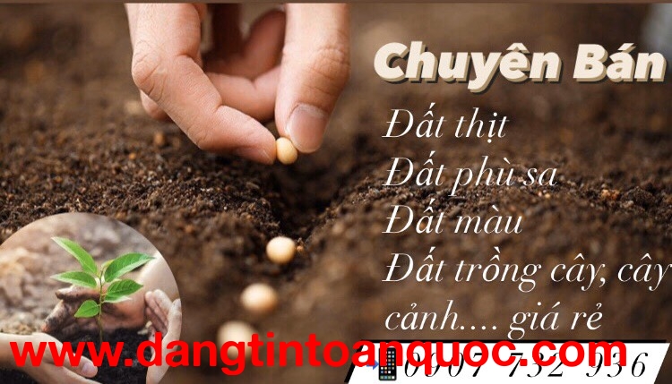 Cung cấp đất màu trồng cây, đất phù sa chất lượng tại Đồng Nai