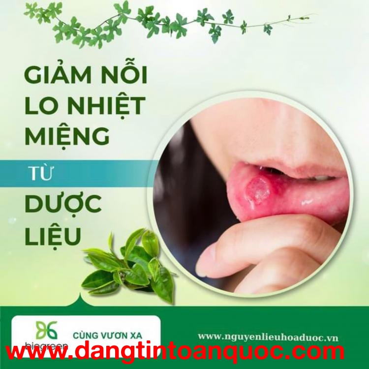 Giảm nỗi lo nhiệt miệng mùa hanh khô từ các vị dược liệu