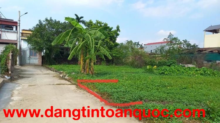 Chính chủ gửi bán 68m2 đất Đình Trung - Xuân Nộn - Đông Anh