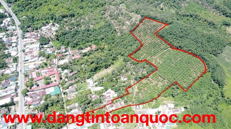 Cần bán 4,3ha đất thị trấn Định Quán, H. Định Quán, Đồng Nai