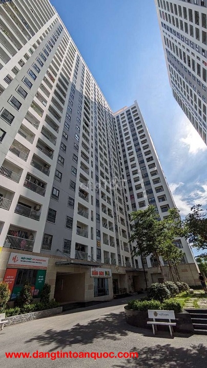 Cho Thuê Căn hộ mới 2PN, 2WC - Chung cư Iris Tower - Đường Nguyễn Du, Phường Bình Hòa, TP.Thuận An, 