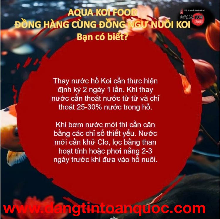 Aqua Koi 2 trong 1 – Vừa tăng cường tốc độ tăng trưởng, vừa giúp cá Koi nổi bật với màu sắc rực rỡ.