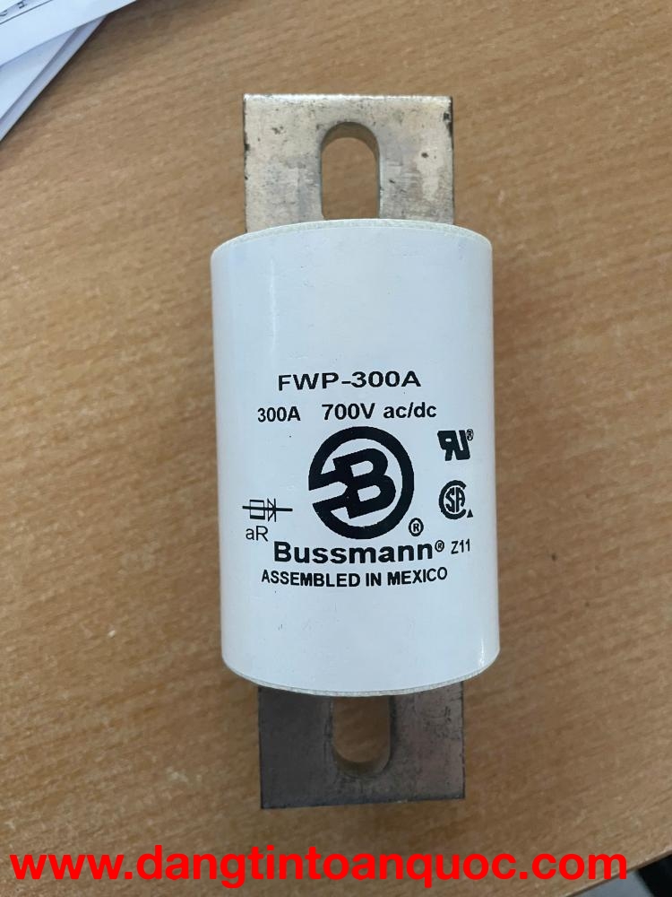 Cầu chì Bussmann FWP-300A