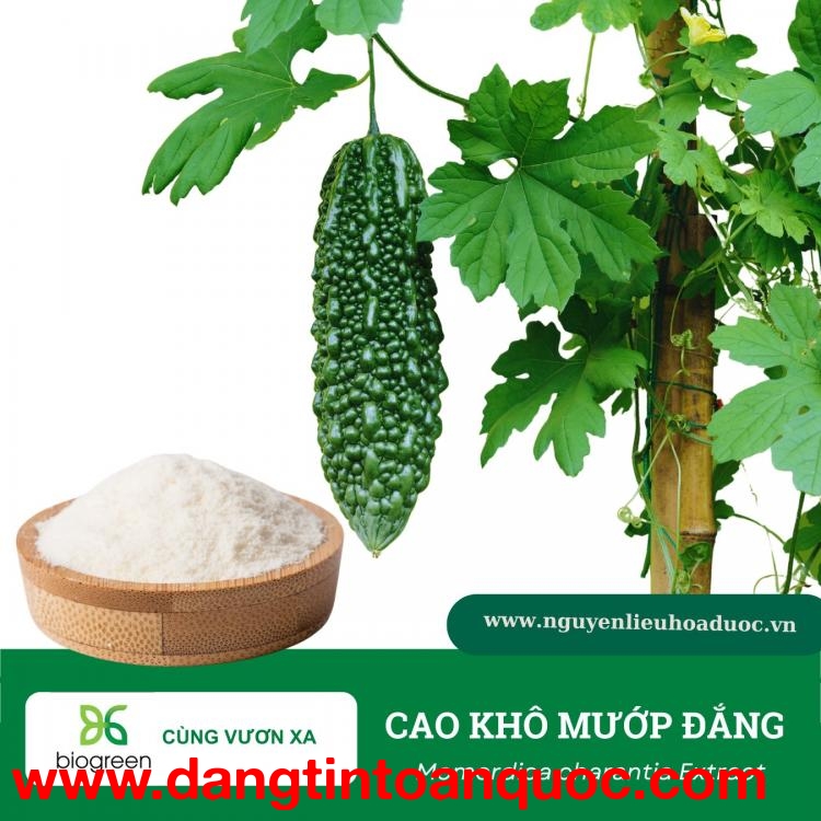 Mua Bán Cao khô Mướp đắng - khám phá công dụng