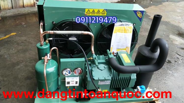 Cung cấp, lắp đặt cụm máy nén kho lạnh Bitzer 5 hp 4DES-5Y-40S tại Bình Dương