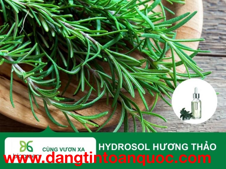 Hydrosol hương thảo Biogreen nguyên liệu mỹ phẩm cho làn da tươi trẻ