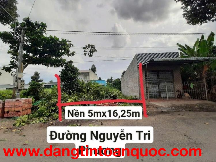 Bán 81.2m2 Nền Siêu Đẹp Cho Nhà Đầu Tư Tại Mặt Tiền Đường Nguyễn Tri Phương, Thị Trấn Mỹ An