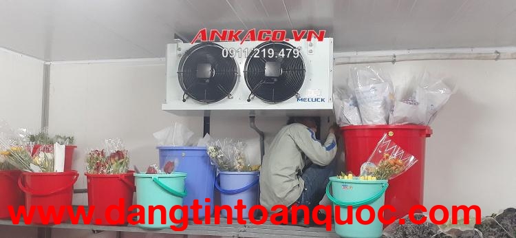 (0947 459 479) Lắp đặt kho lạnh trữ quả hoa tươi, thi công hệ thống kho lạnh