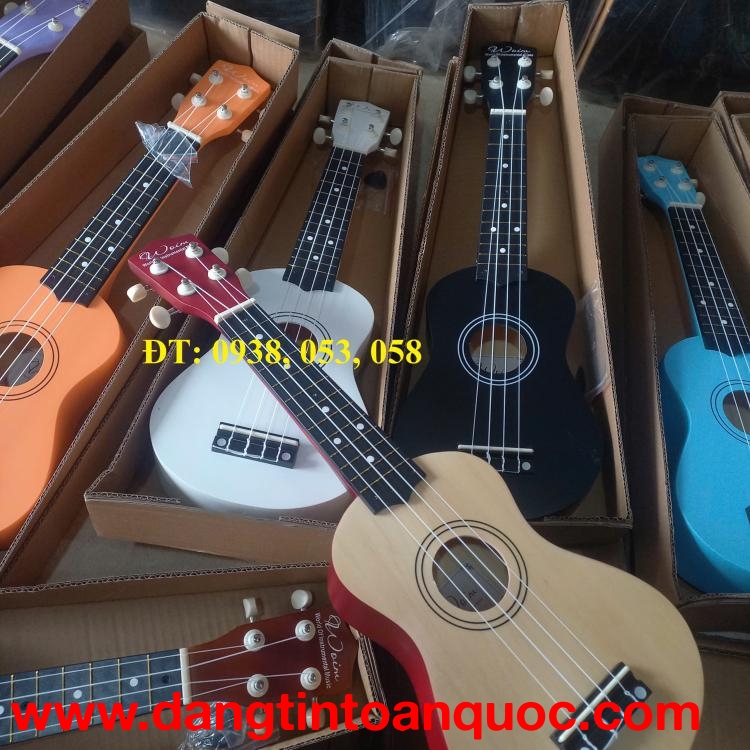 Bán đàn ukulele giá rẻ tại huyện hóc môn - 0938, 053, 058