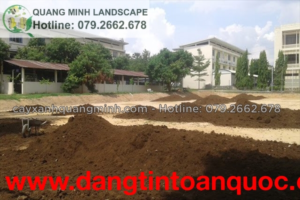 Bán đất màu trồng SLL giá rẻ tại Đồng Nai, Long An, HCM