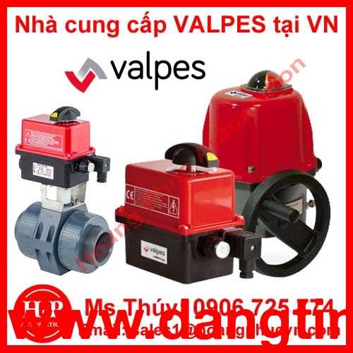 Nhà phân phối động cơ Valpes Electric tại việt nam