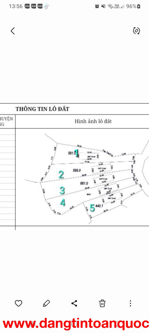 MỞ BÁN GẤP 5 LÔ F0 TẠI THÔN MỊN TO_XÃ TRÙ HỰU_LỤC NGẠN_BẮC GIANG