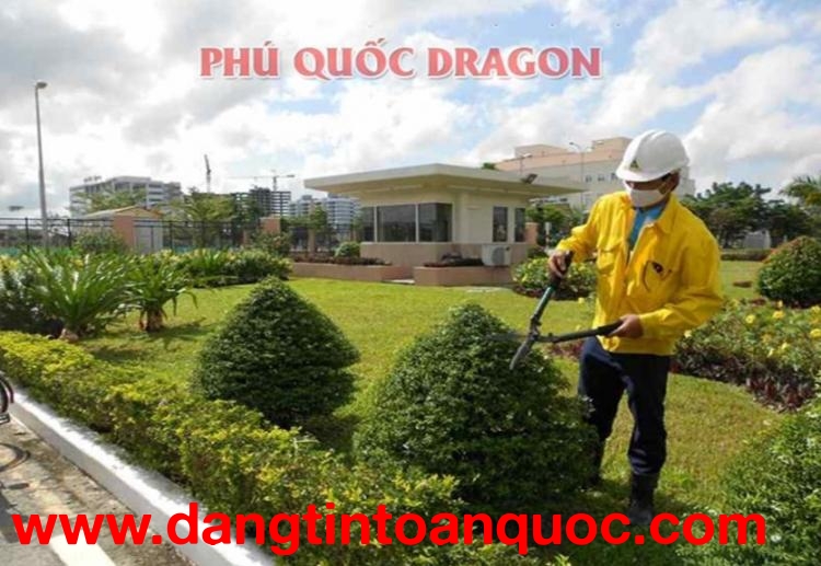  Dịch vụ cắt tỉa cây xanh, cây công trình tại Đồng Nai, Long An, HCM