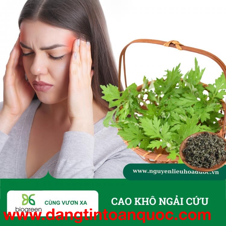 Cung cấp Cao khô ngải cứu hàng chất lượng cao giá sỉ