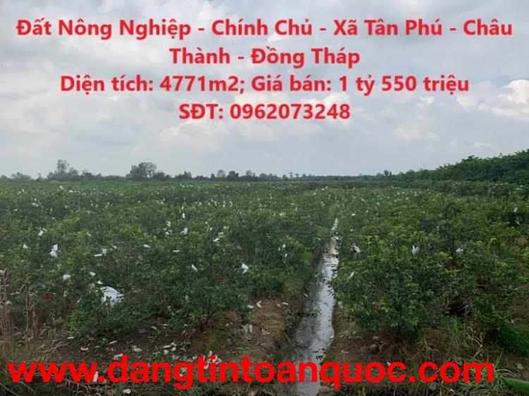 Đất Nông Nghiệp - Chính Chủ - Xã Tân Phú - Châu Thành - Đồng Tháp