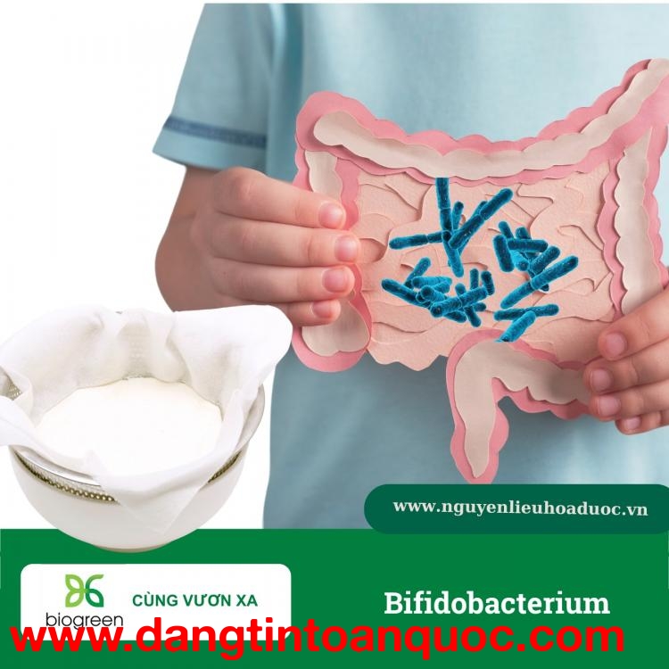 Bifidobacterium – Lợi khuẩn nâng cao sức khoẻ đường tiêu hoá