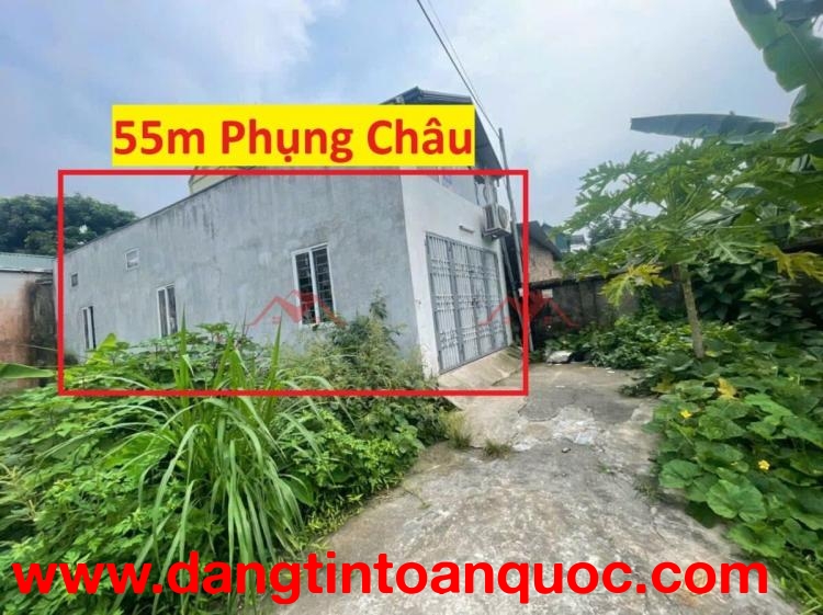 SIÊU PHẨM BÁN NHÀ GIÁ 2,8 TỶ TẠI PHỤNG CHÂU-CHƯƠNG MỸ D/T:55M