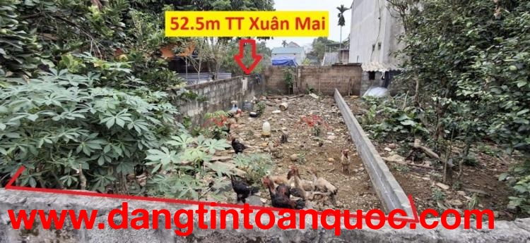 SIÊU PHẨM GIÁ 1,6 TỶ ĐẤT TẠI TT XUÂN MAI-CHƯƠNG MỸ D/T:52,5M