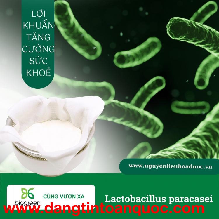 Cung cấp Men Lactobacillus Paracasei lợi khuẩn