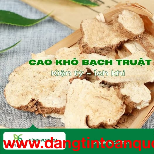 Cung cấp Cao khô bạch truật hàng chất lượng cao giá sỉ