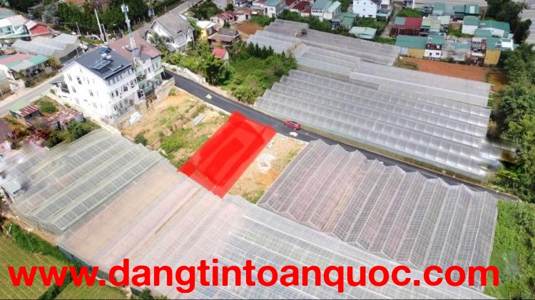 Bán đất biệt thự đường nhựa tại Trần Quang Khải P8 Đà Lạt