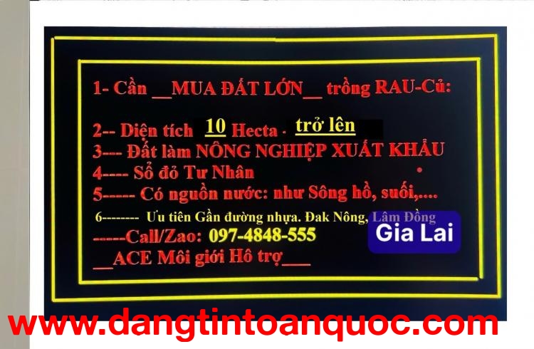 CẦN TÌM MUA ĐẤT LỚN: 10 (HECTA) - 300 (HECTA) QUANH KHU VỰC TP GIA NGHĨA. LH:0974848555.