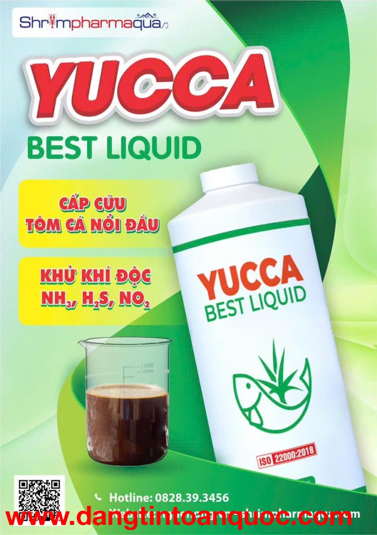 Yucca lỏng hấp thu khí độc, cấp cứu tôm cá nổi đầu do khí độc tăng cao - Yucca best liquid