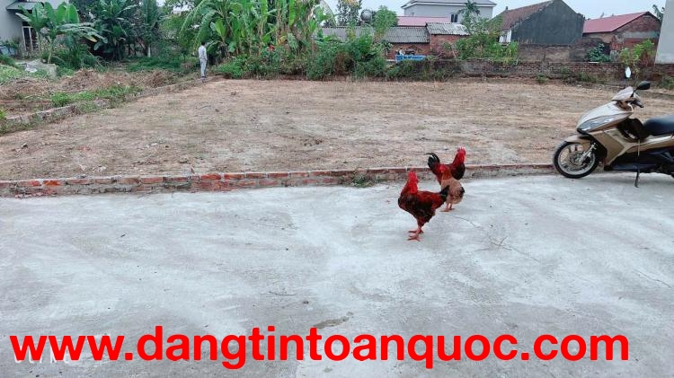 ĐẤT YÊN TÀNG BẮC PHÚ DT 117 M FUN THỔ CƯ GIÁ CỰC SÔC RƠI TIỀN LÀ LÃI