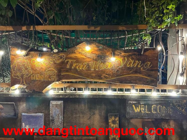 Tour lặn ngắm san hô Hòn Chùa – Phú Yên 1 ngày