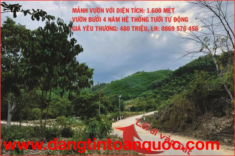 CẦN BÁN MẢNH VƯỜN BƯỞI TẠI XÃ KHÁNH THÀNH, KHÁNH VĨNH, KHÁNH HOÀ