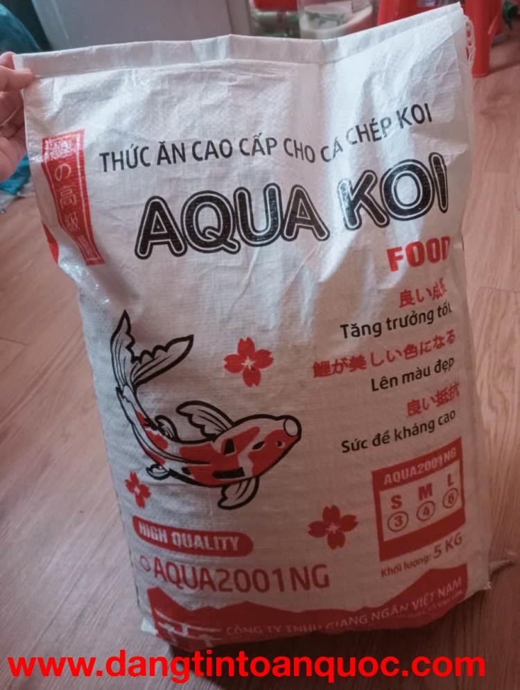 ???? Trải Nghiệm Aqua Koi – Đến Ngay Để Khám Phá Sự Khác Biệt!