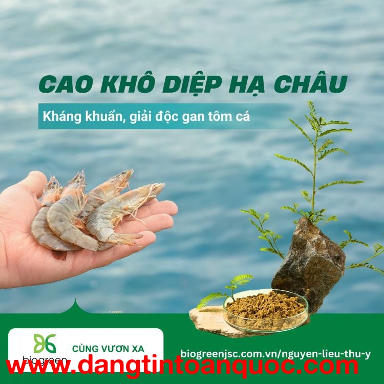 Cao khô Hoài sơn - Nâng cao năng suất và chất lượng vật nuôi thuỷ sản